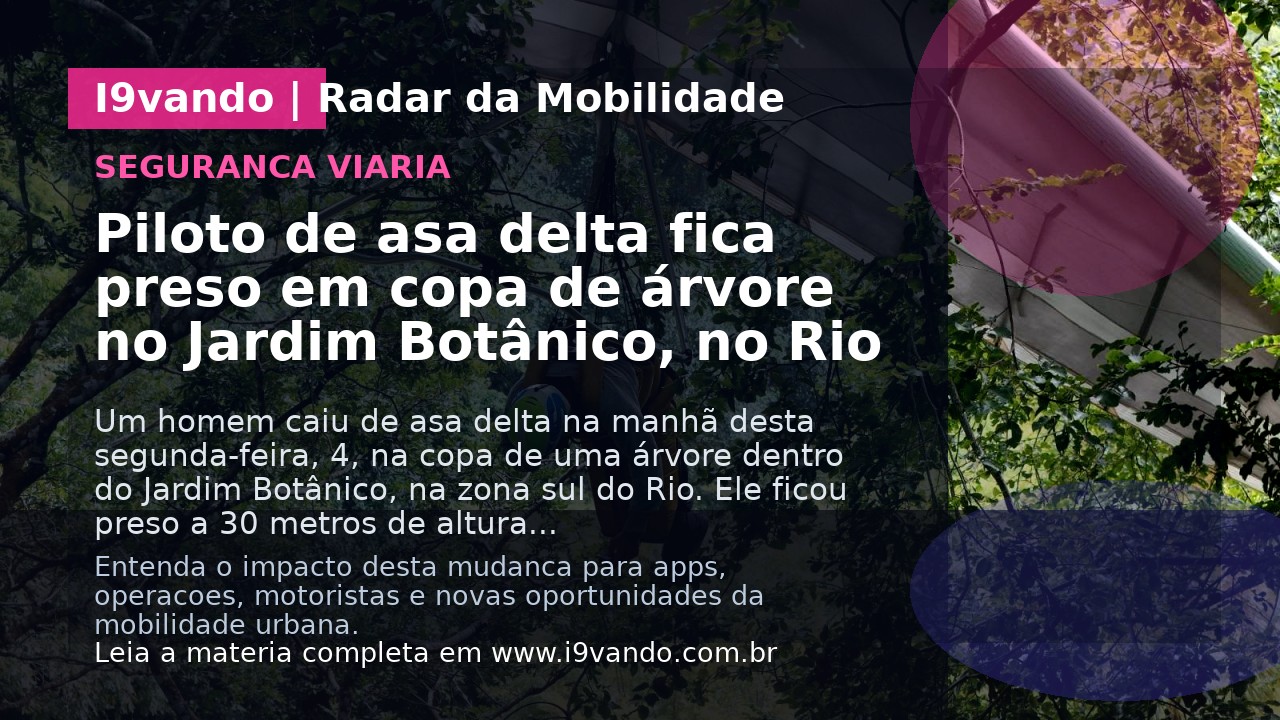 Piloto de asa delta fica preso em copa de árvore no Jardim Botânico, no Rio