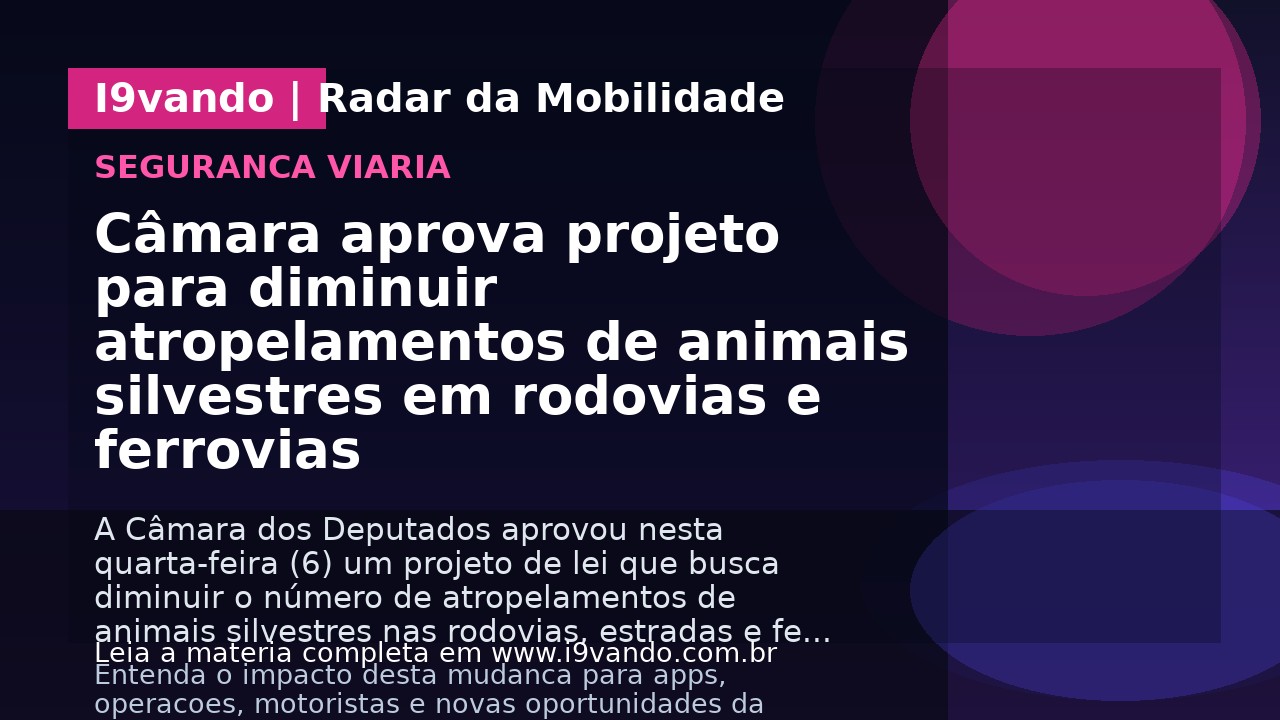 Câmara aprova projeto para diminuir atropelamentos de animais silvestres em rodovias e ferrovias
