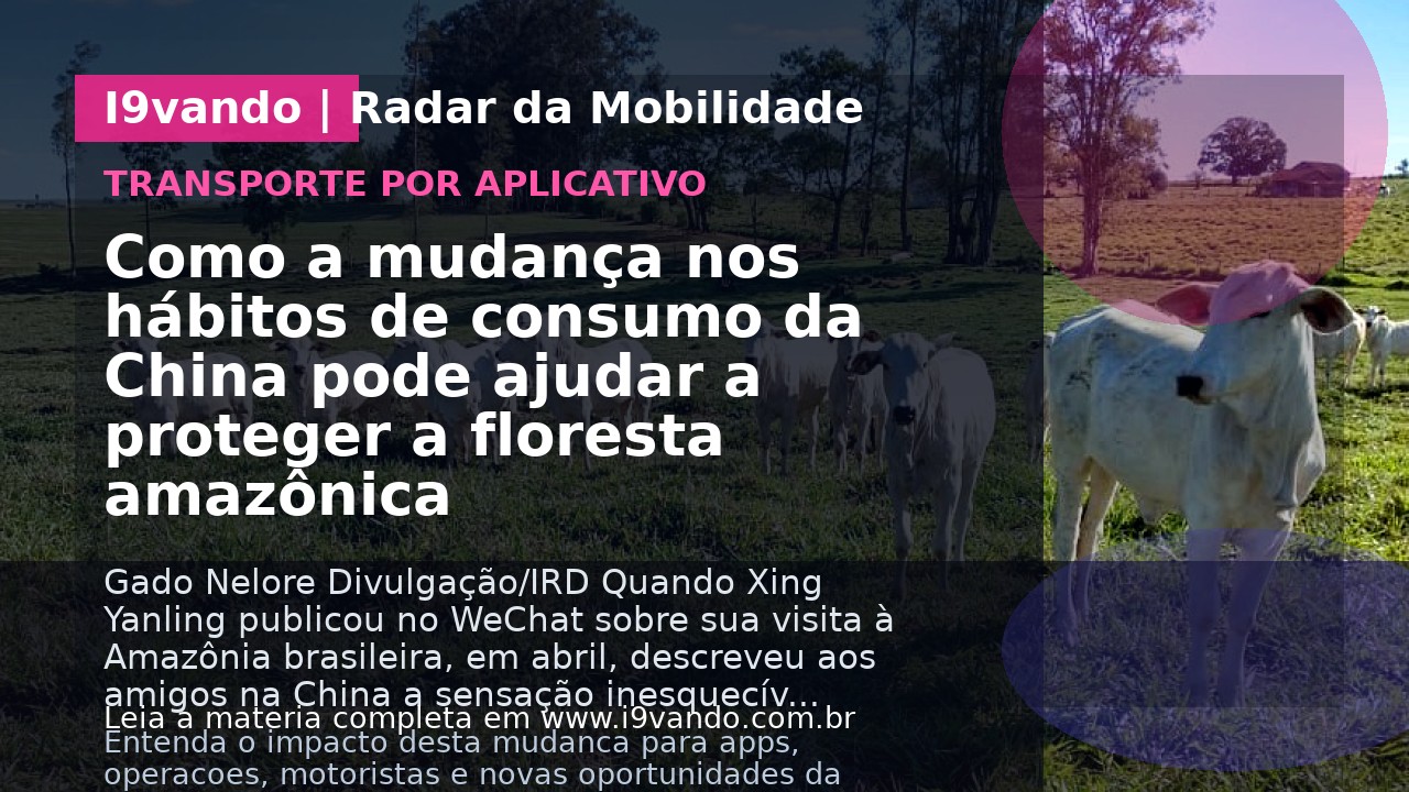 Como a mudança nos hábitos de consumo da China pode ajudar a proteger a floresta amazônica