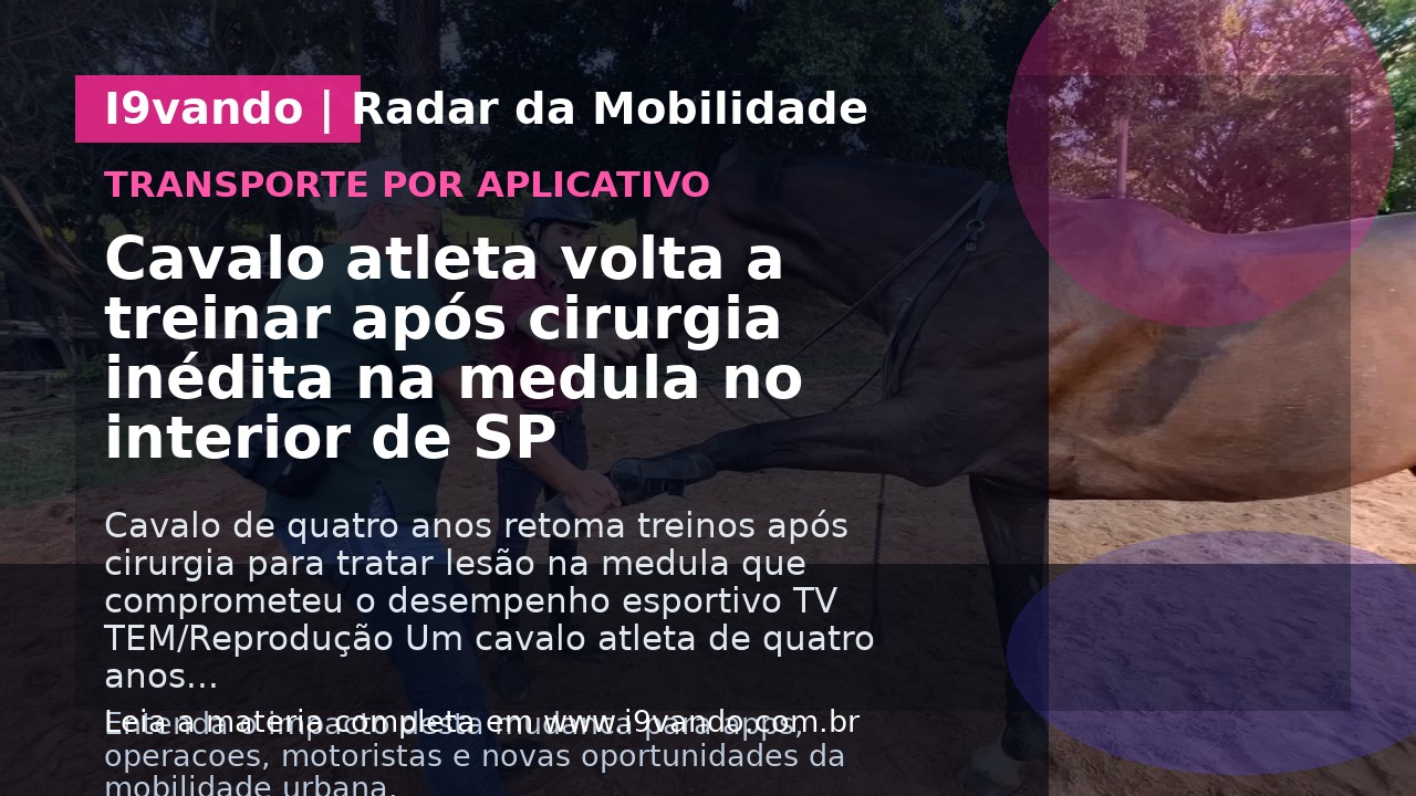 Cavalo atleta volta a treinar após cirurgia inédita na medula no interior de SP