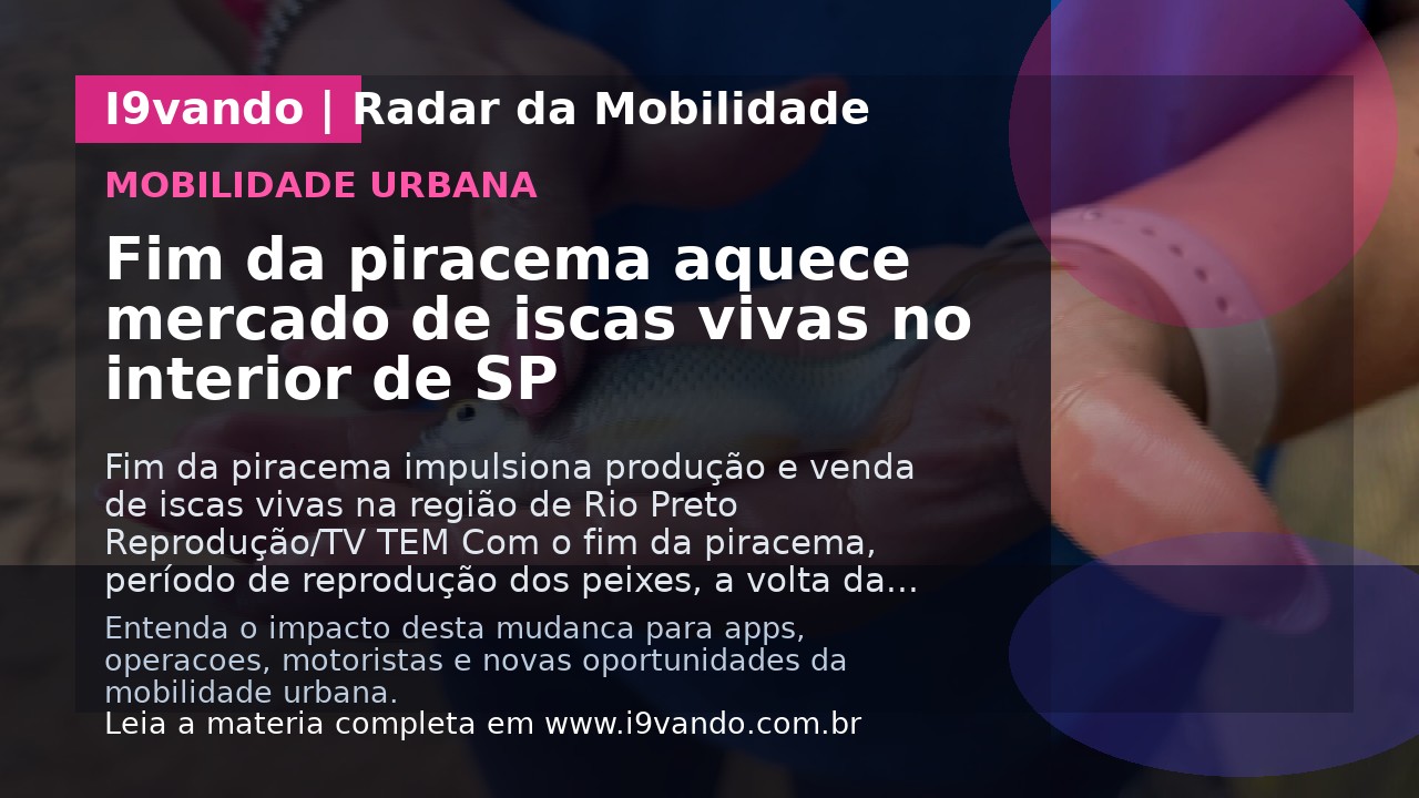 Fim da piracema aquece mercado de iscas vivas no interior de SP