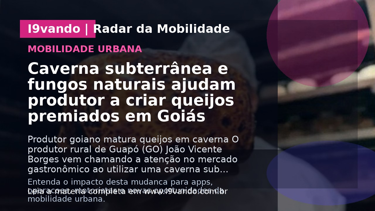 Caverna subterrânea e fungos naturais ajudam produtor a criar queijos premiados em Goiás