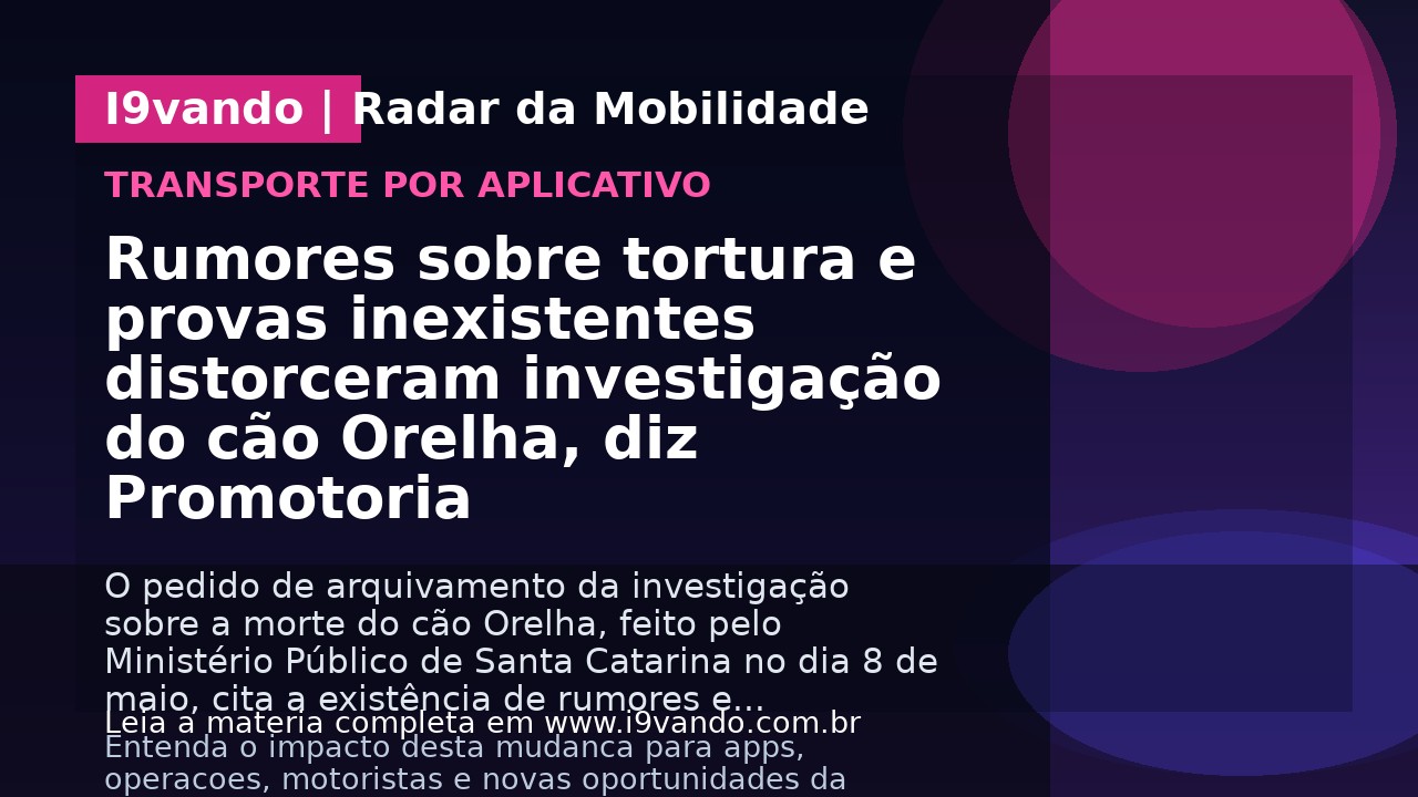 Rumores sobre tortura e provas inexistentes distorceram investigação do cão Orelha, diz Promotoria