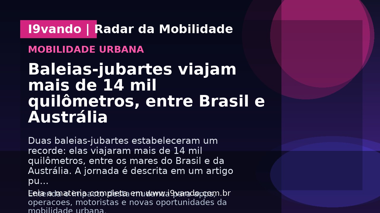 Baleias-jubartes viajam mais de 14 mil quilômetros, entre Brasil e Austrália