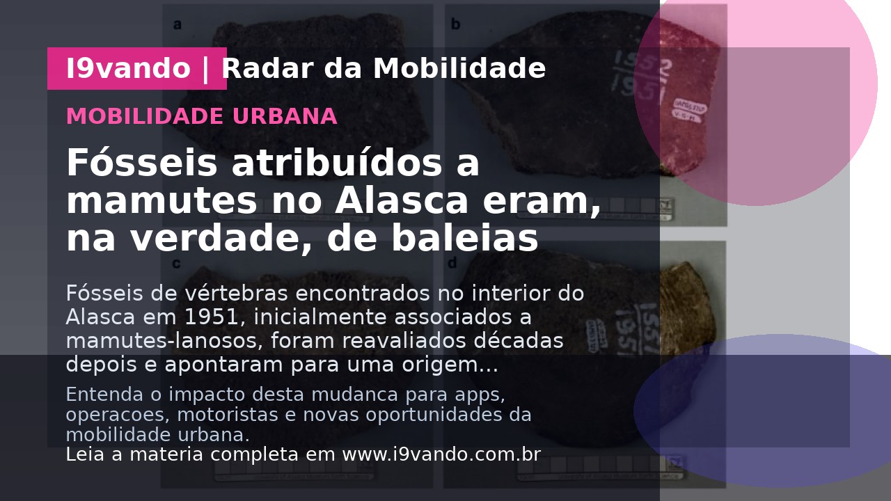 Fósseis atribuídos a mamutes no Alasca eram, na verdade, de baleias