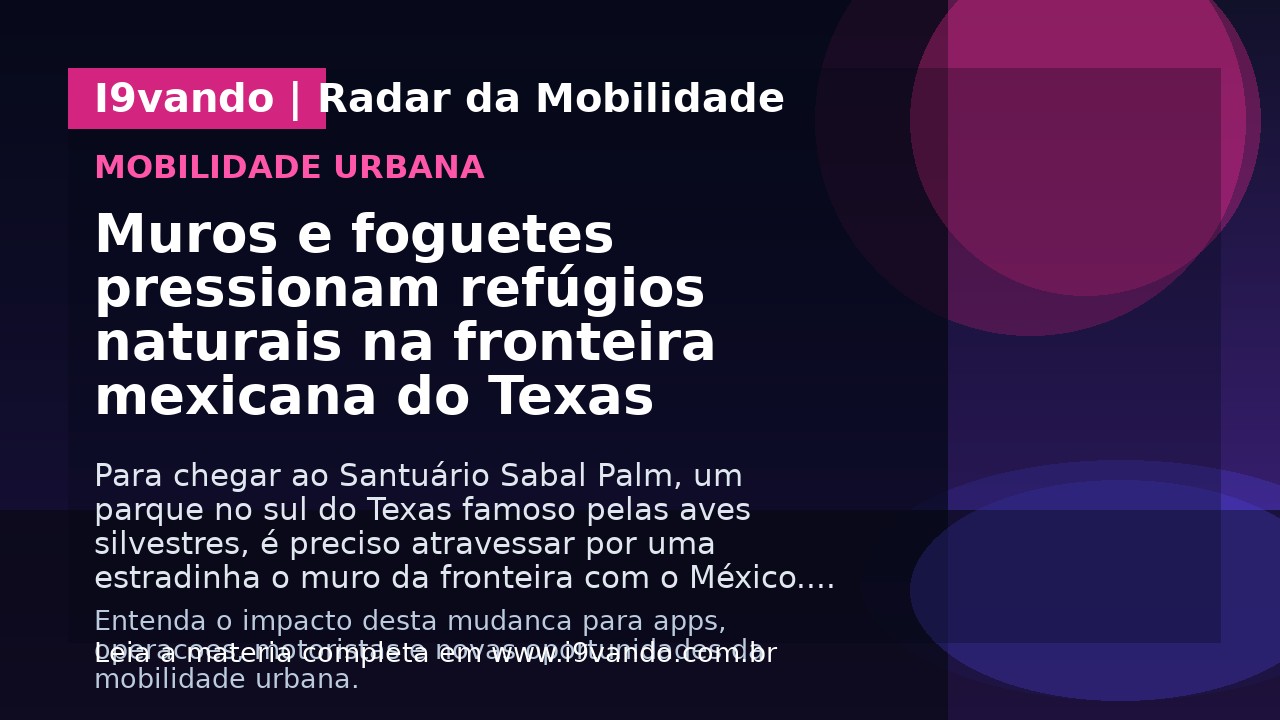 Muros e foguetes pressionam refúgios naturais na fronteira mexicana do Texas
