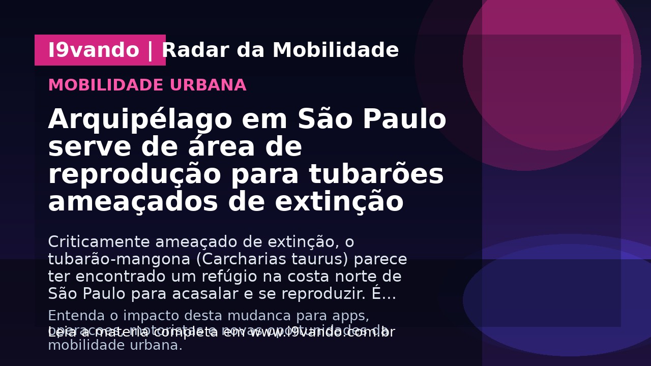 Arquipélago em São Paulo serve de área de reprodução para tubarões ameaçados de extinção