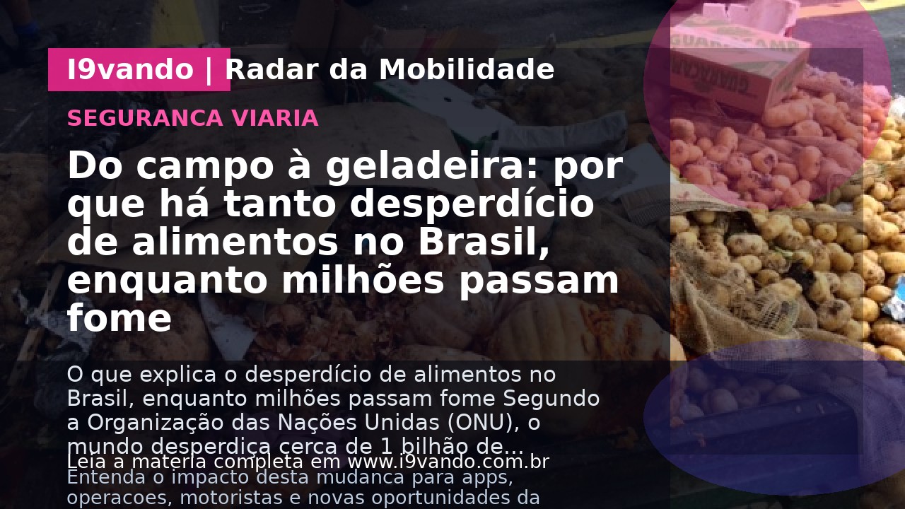 Do campo à geladeira: por que há tanto desperdício de alimentos no Brasil, enquanto milhões passam fome