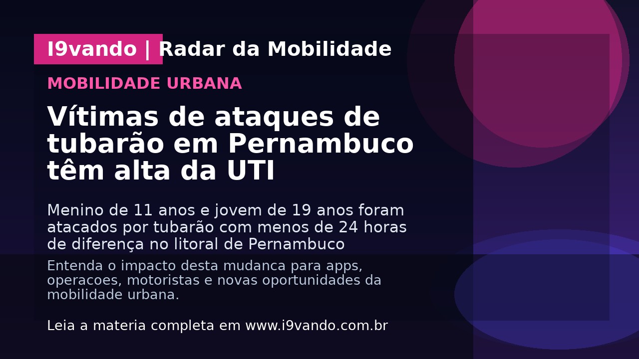 Vítimas de ataques de tubarão em Pernambuco têm alta da UTI
