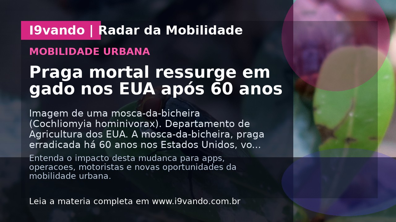 Praga mortal ressurge em gado nos EUA após 60 anos