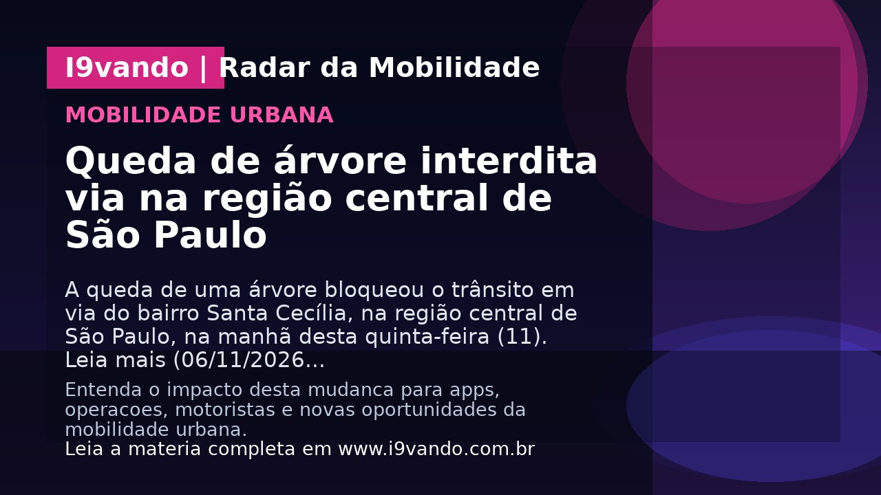 Queda de árvore interdita via na região central de São Paulo