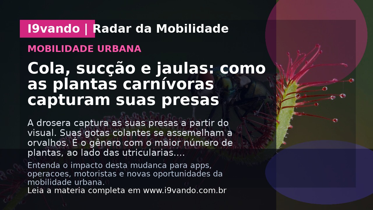 Cola, sucção e jaulas: como as plantas carnívoras capturam suas presas