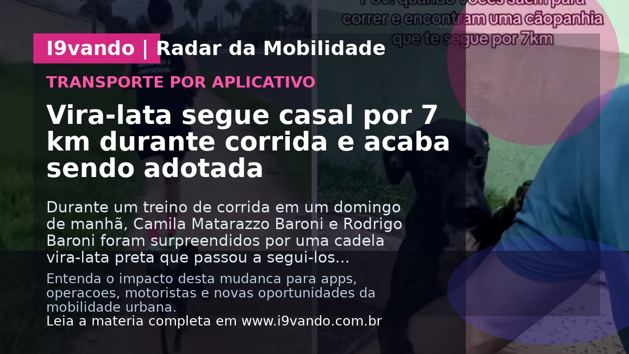 Vira-lata segue casal por 7 km durante corrida e acaba sendo adotada