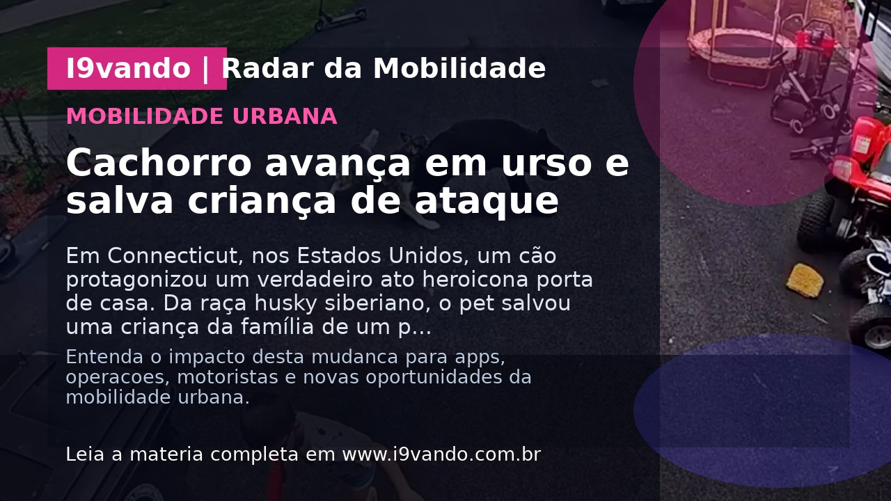 Cachorro avança em urso e salva criança de ataque