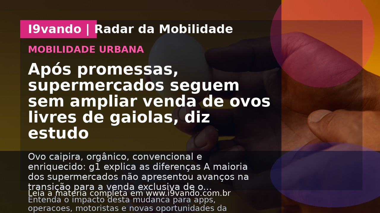Após promessas, supermercados seguem sem ampliar venda de ovos livres de gaiolas, diz estudo