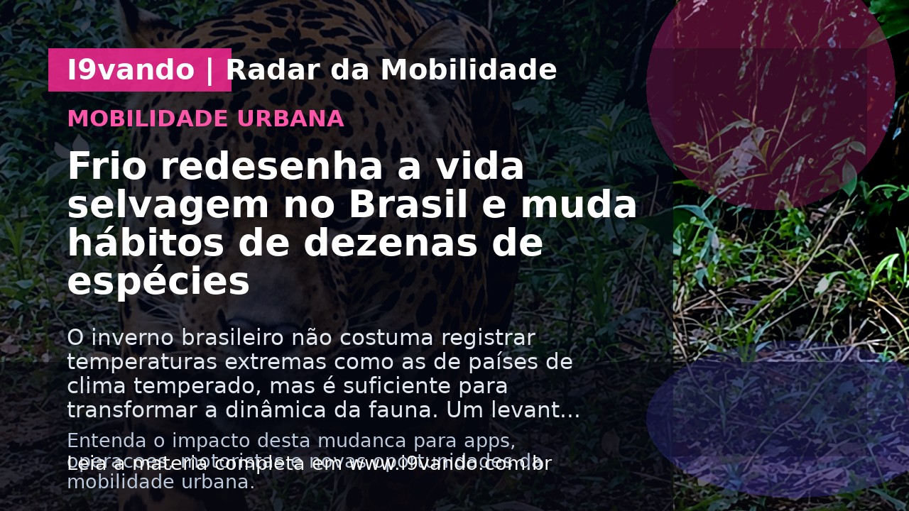 Frio redesenha a vida selvagem no Brasil e muda hábitos de dezenas de espécies