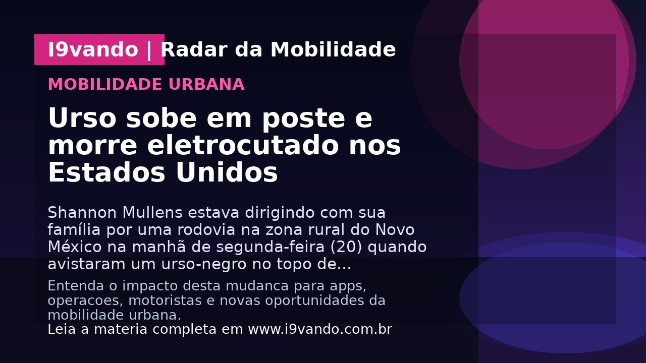 Urso sobe em poste e morre eletrocutado nos Estados Unidos