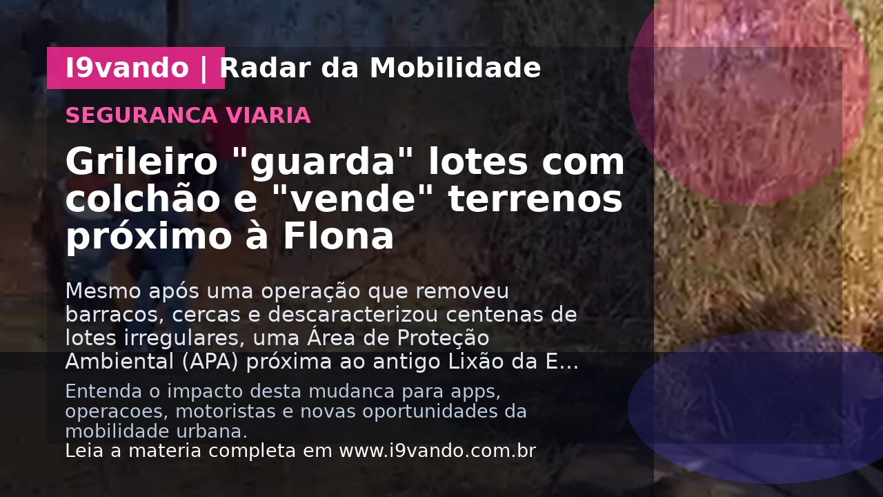 Grileiro "guarda" lotes com colchão e "vende" terrenos próximo à Flona