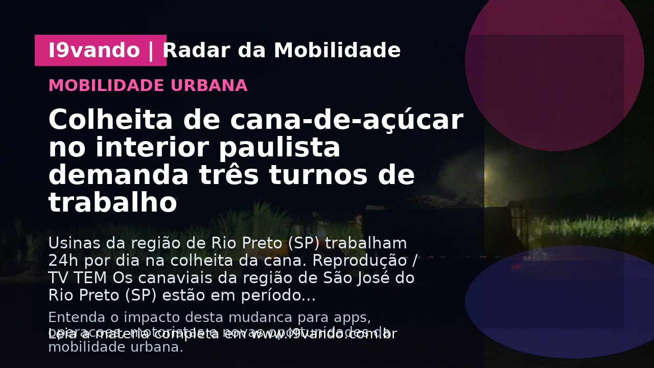 Colheita de cana-de-açúcar no interior paulista demanda três turnos de trabalho