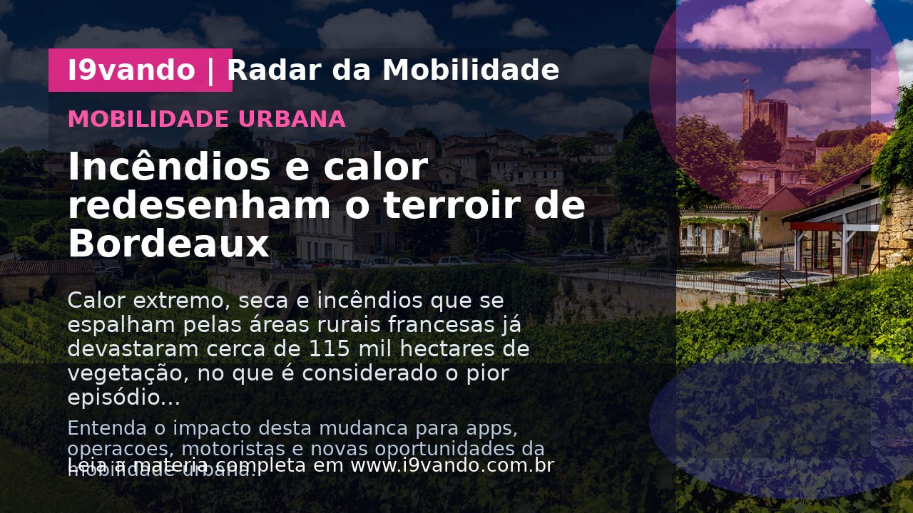Incêndios e calor redesenham o terroir de Bordeaux