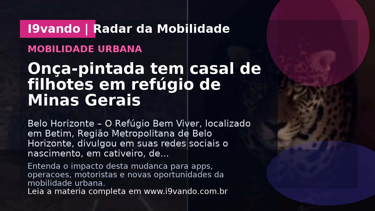 Onça-pintada tem casal de filhotes em refúgio de Minas Gerais