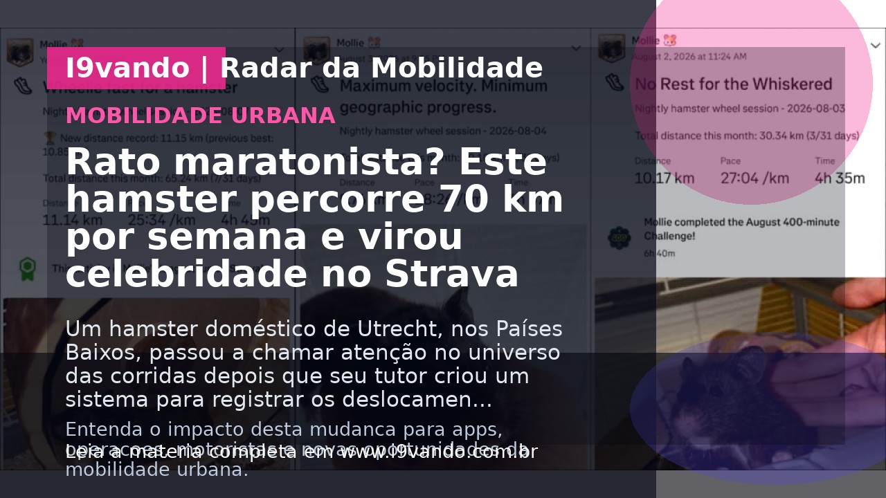 Rato maratonista? Este hamster percorre 70 km por semana e virou celebridade no Strava