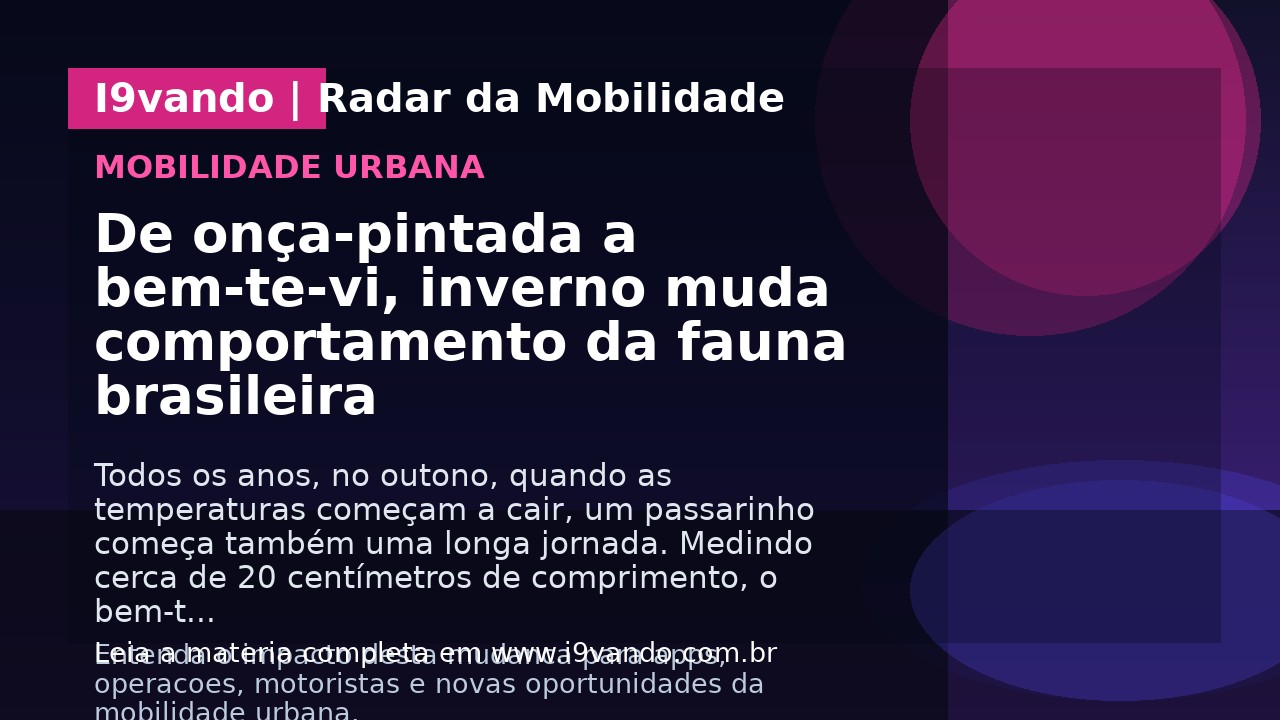 De onça-pintada a bem-te-vi, inverno muda comportamento da fauna brasileira