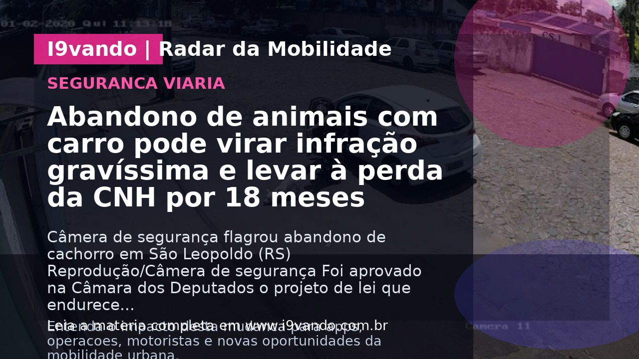 Abandono de animais com carro pode virar infração gravíssima e levar à perda da CNH por 18 meses