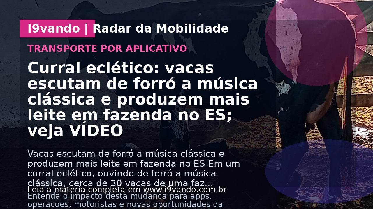 Curral eclético: vacas escutam de forró a música clássica e produzem mais leite em fazenda no ES; veja VÍDEO