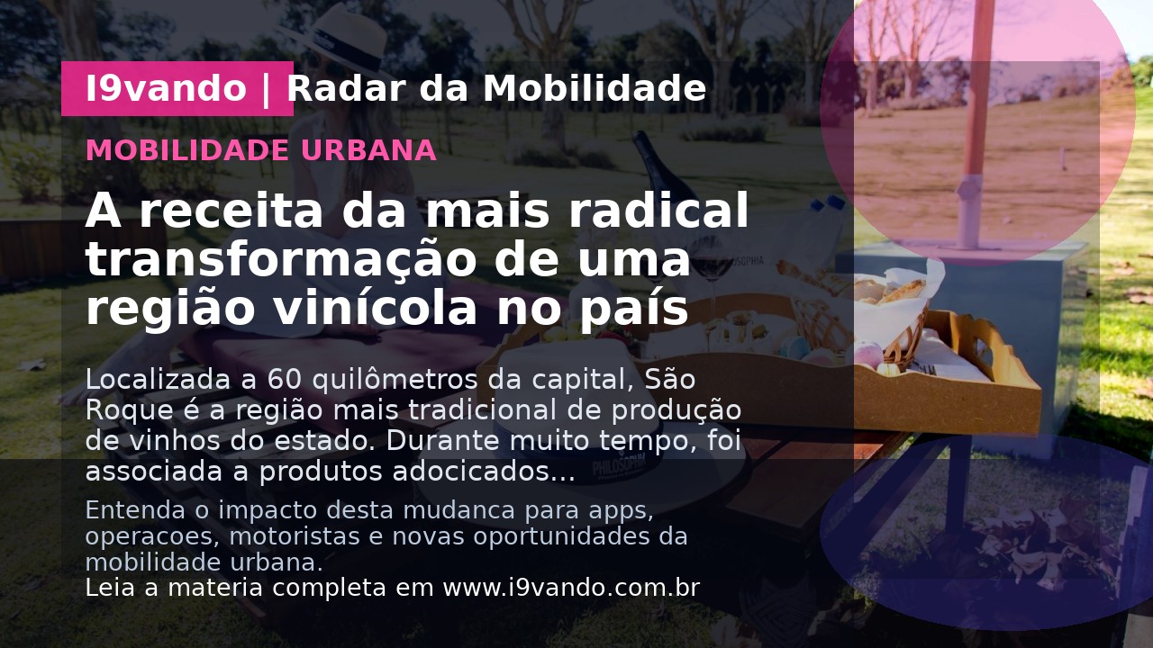 A receita da mais radical transformação de uma região vinícola no país