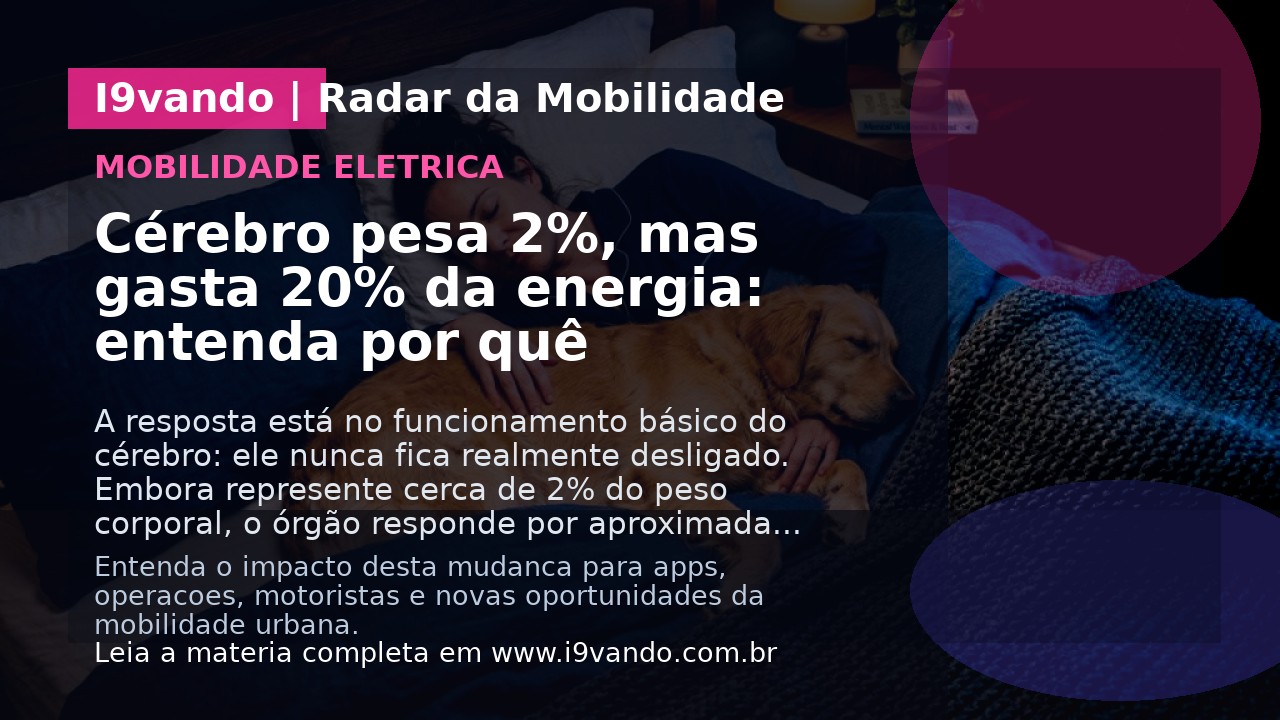 Cérebro pesa 2%, mas gasta 20% da energia: entenda por quê