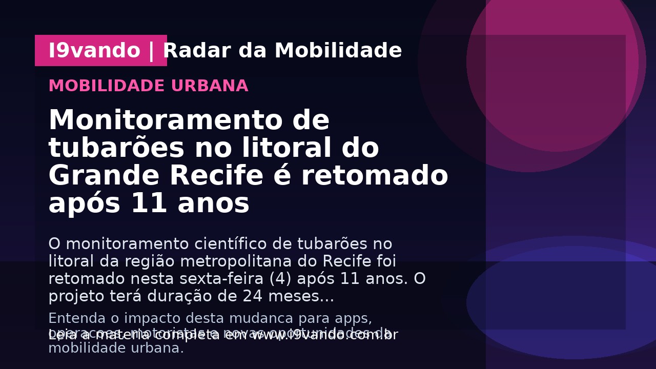 Monitoramento de tubarões no litoral do Grande Recife é retomado após 11 anos