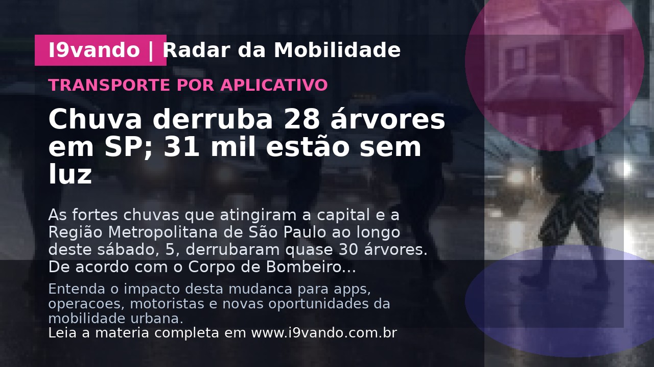 Chuva derruba 28 árvores em SP; 31 mil estão sem luz