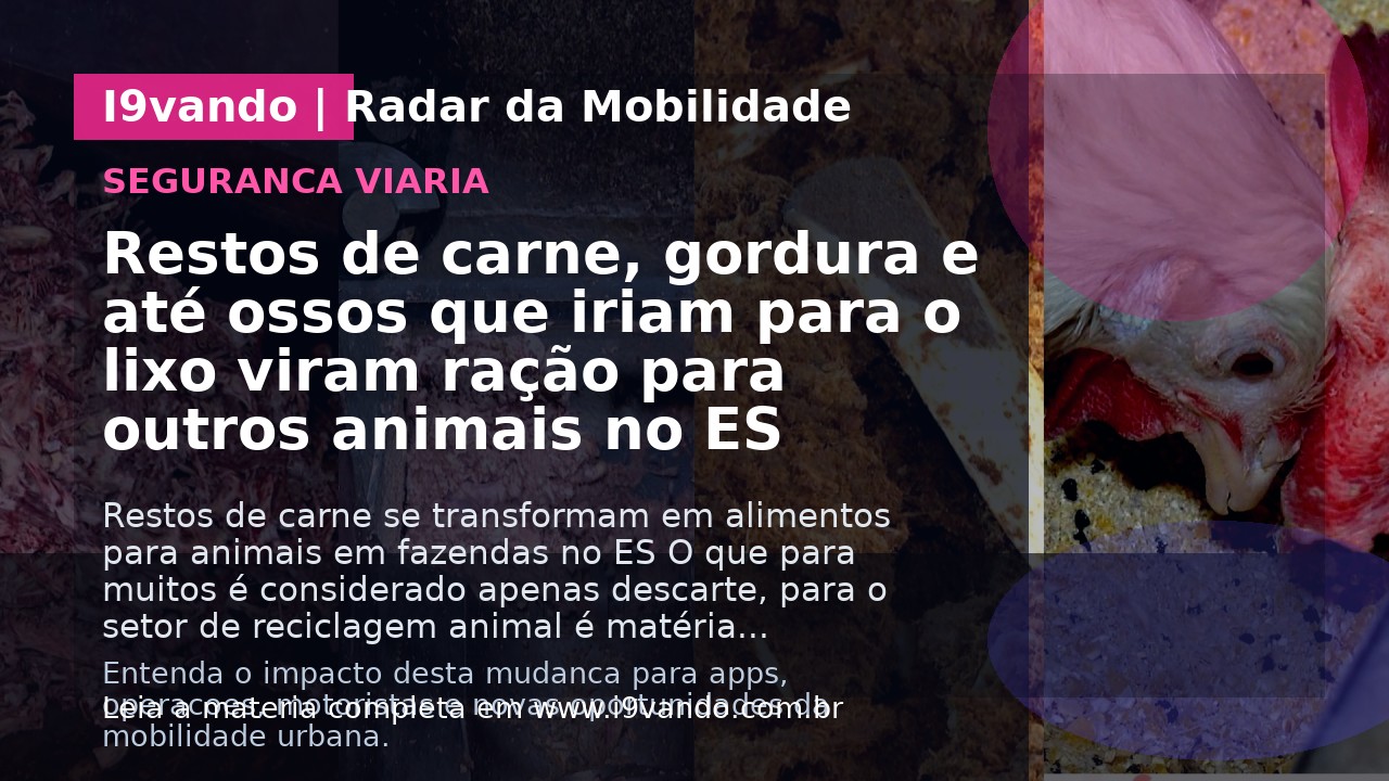 Restos de carne, gordura e até ossos que iriam para o lixo viram ração para outros animais no ES