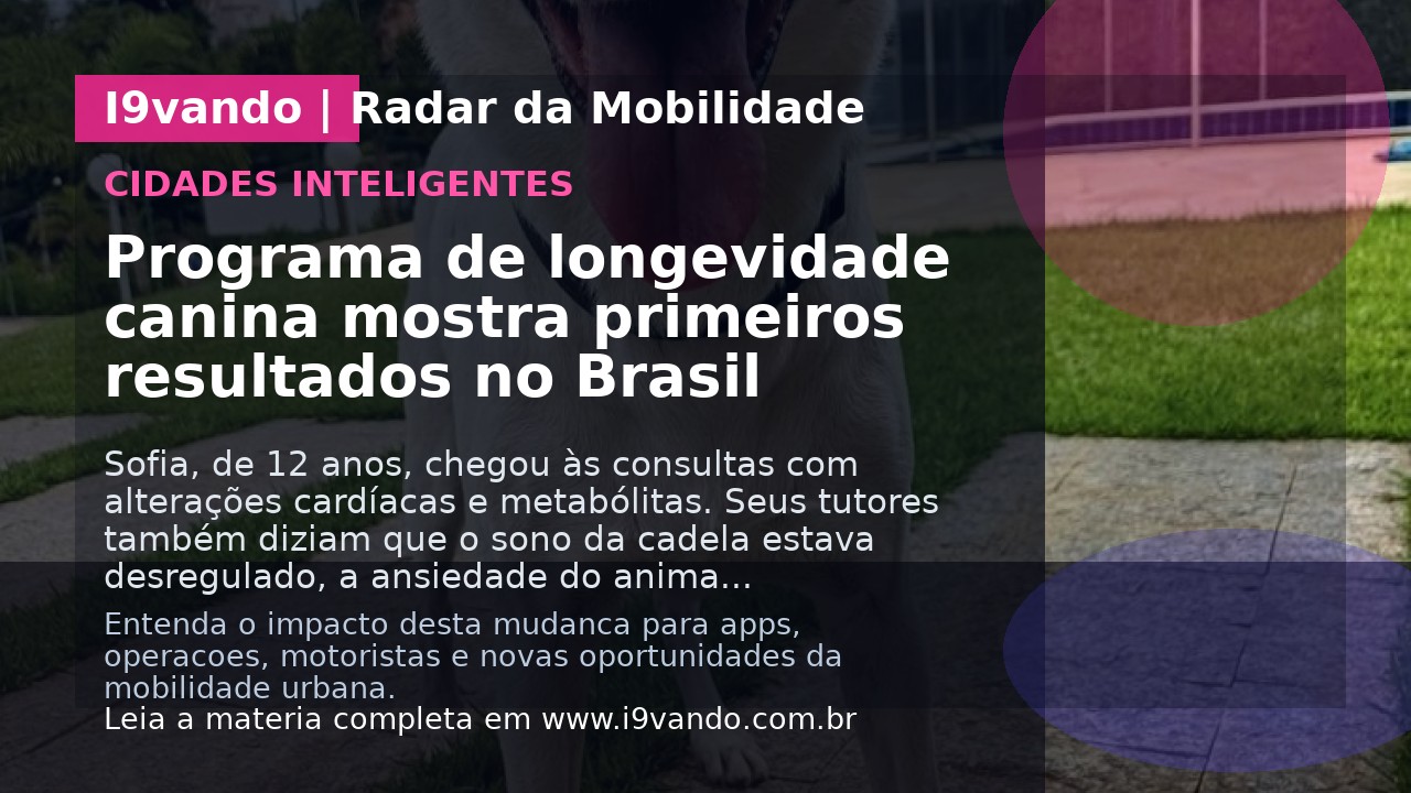 Programa de longevidade canina mostra primeiros resultados no Brasil