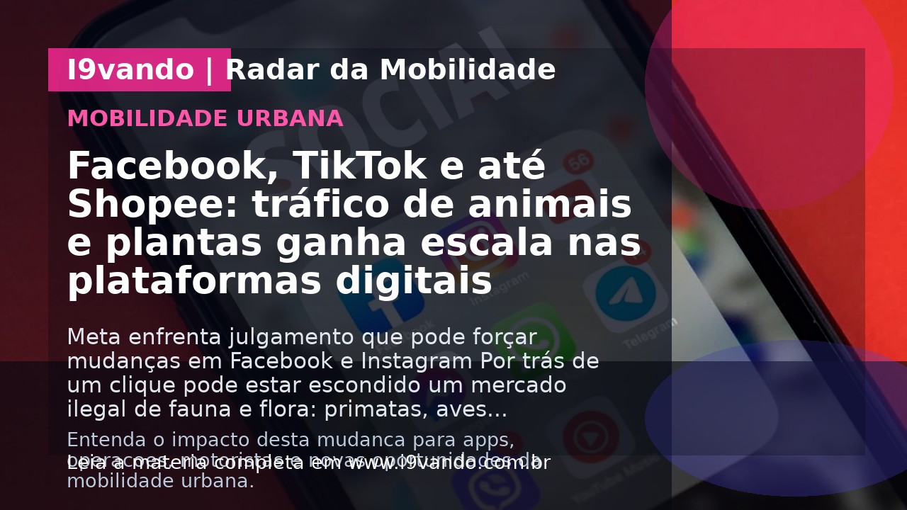 Facebook, TikTok e até Shopee: tráfico de animais e plantas ganha escala nas plataformas digitais