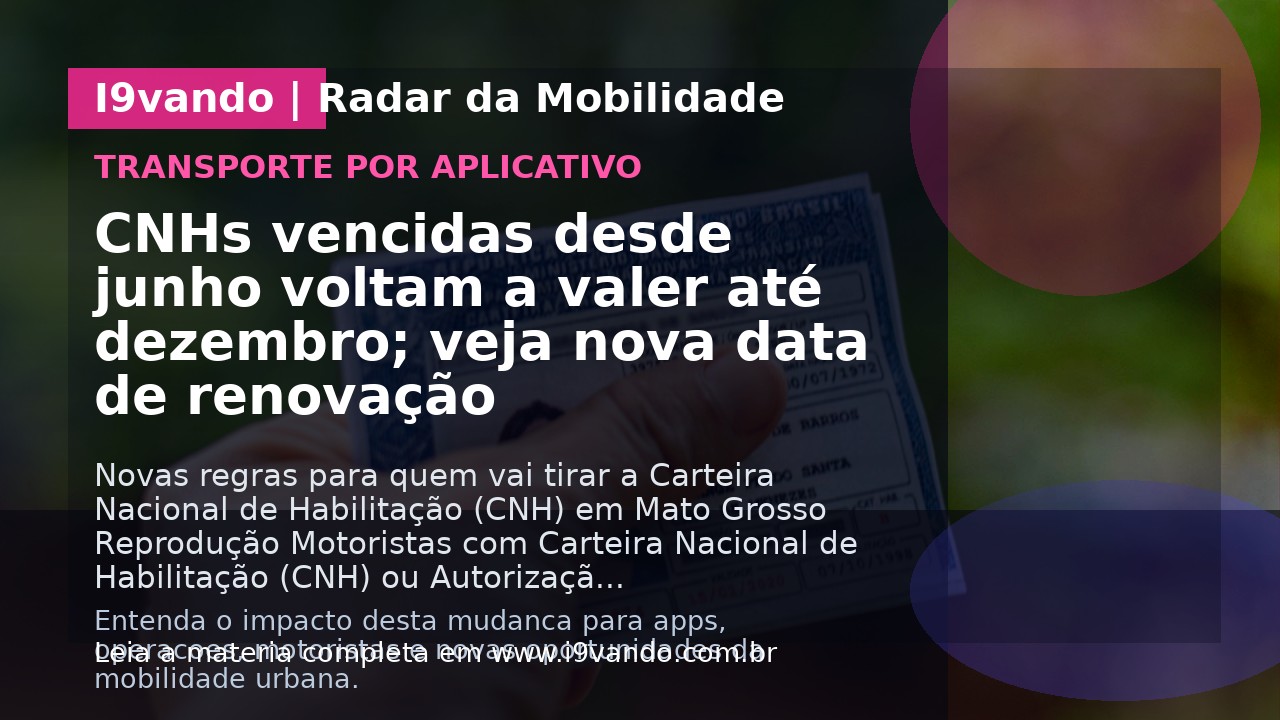 CNHs vencidas desde junho voltam a valer até dezembro; veja nova data de renovação