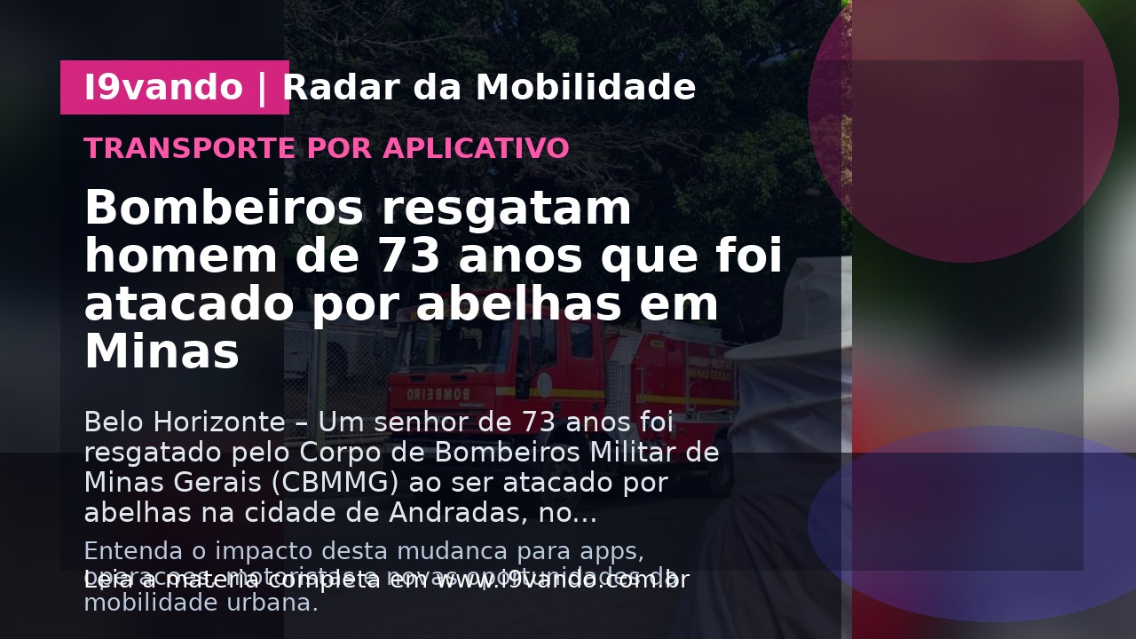 Bombeiros resgatam homem de 73 anos que foi atacado por abelhas em Minas