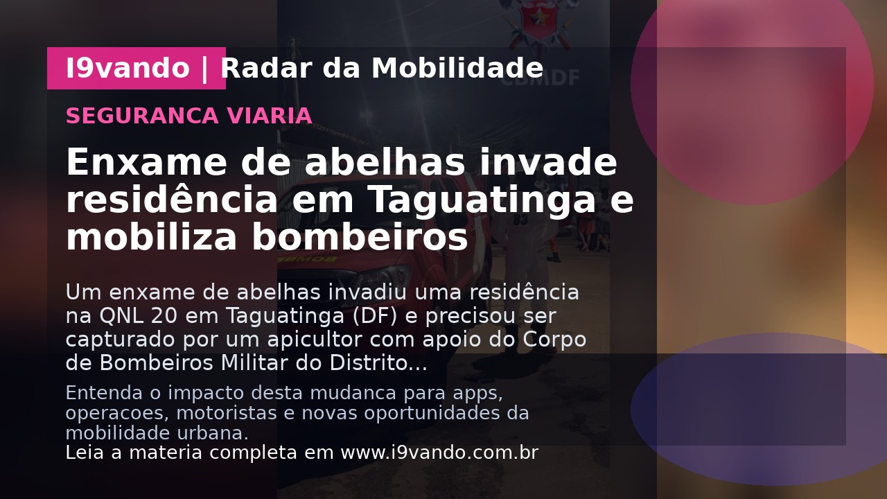 Enxame de abelhas invade residência em Taguatinga e mobiliza bombeiros